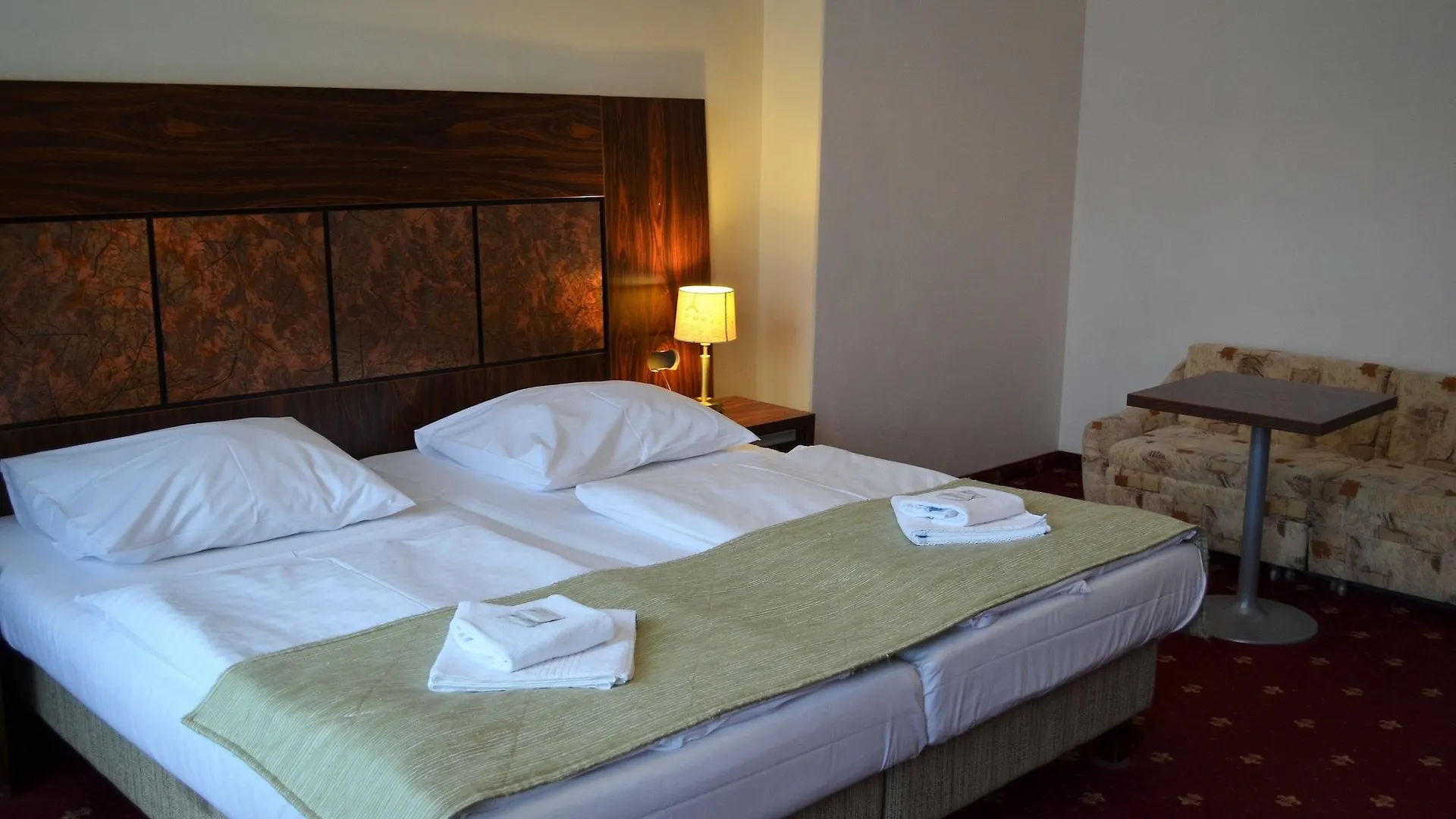 Hotel Palacky Karlovy Vary 4*,